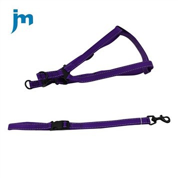 Leash Ci Myfyriol